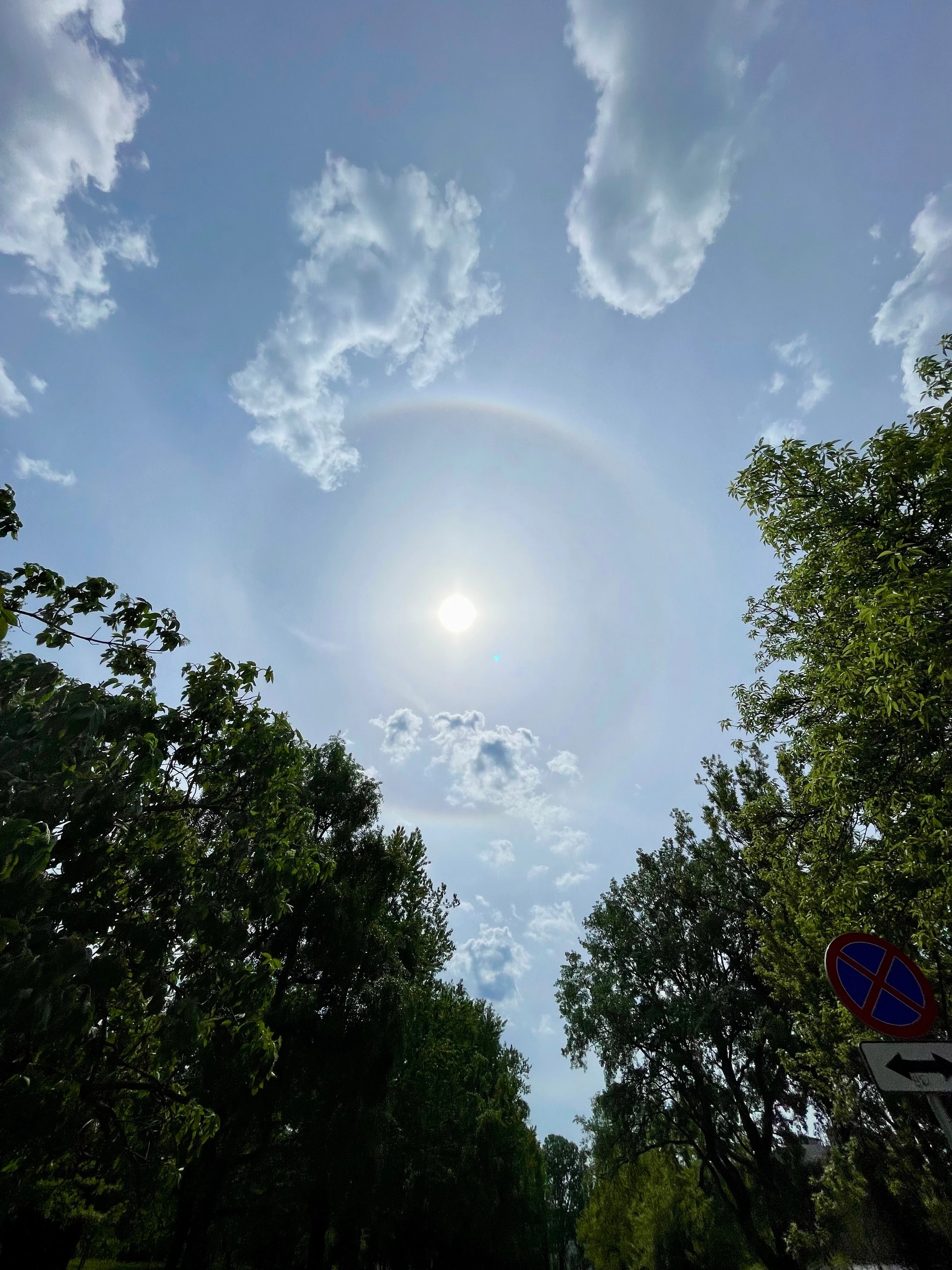 Polska, efekt Halo Polska, efekt Halo