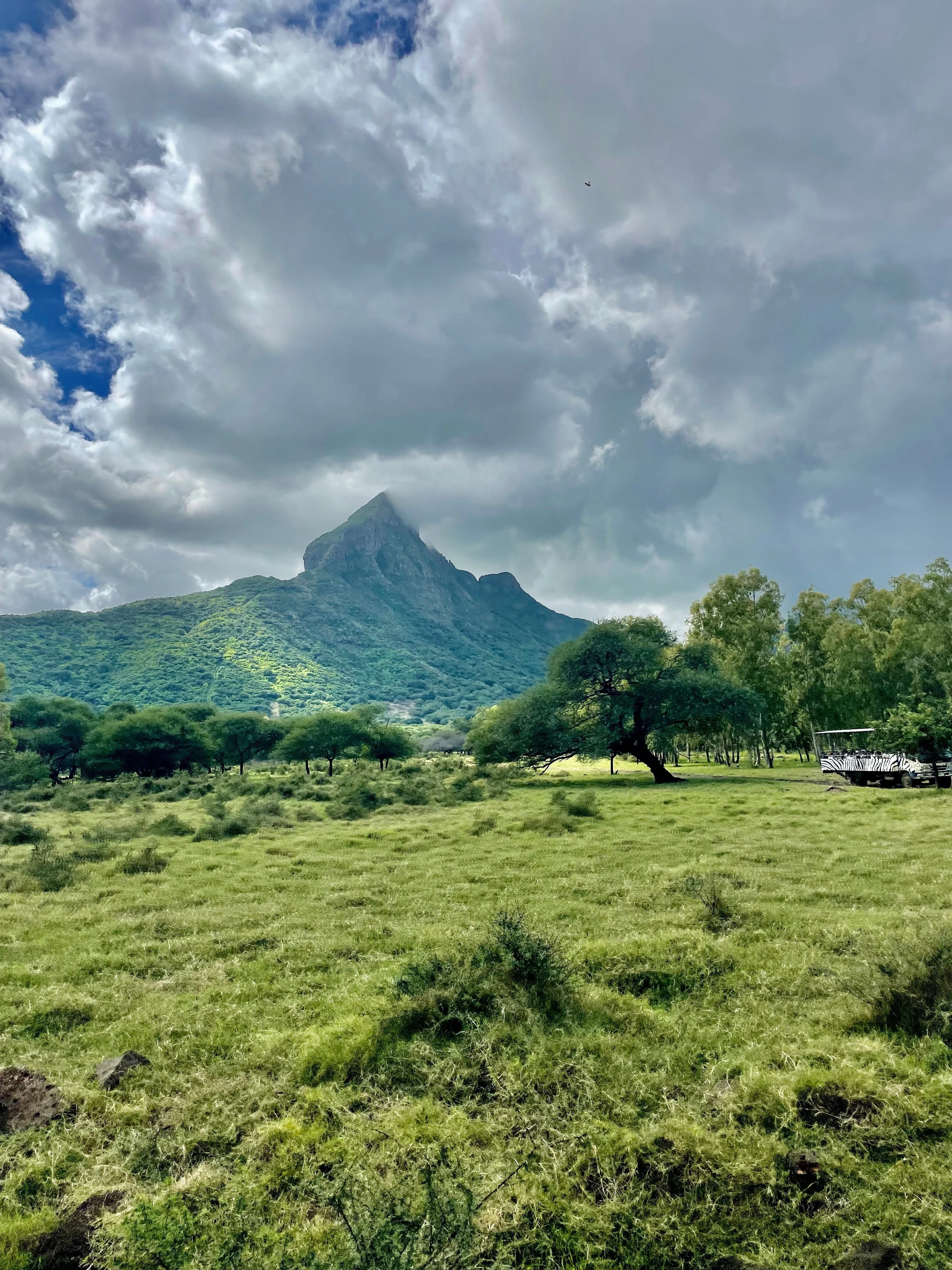 Mauritius, safari Mauritius, safari
