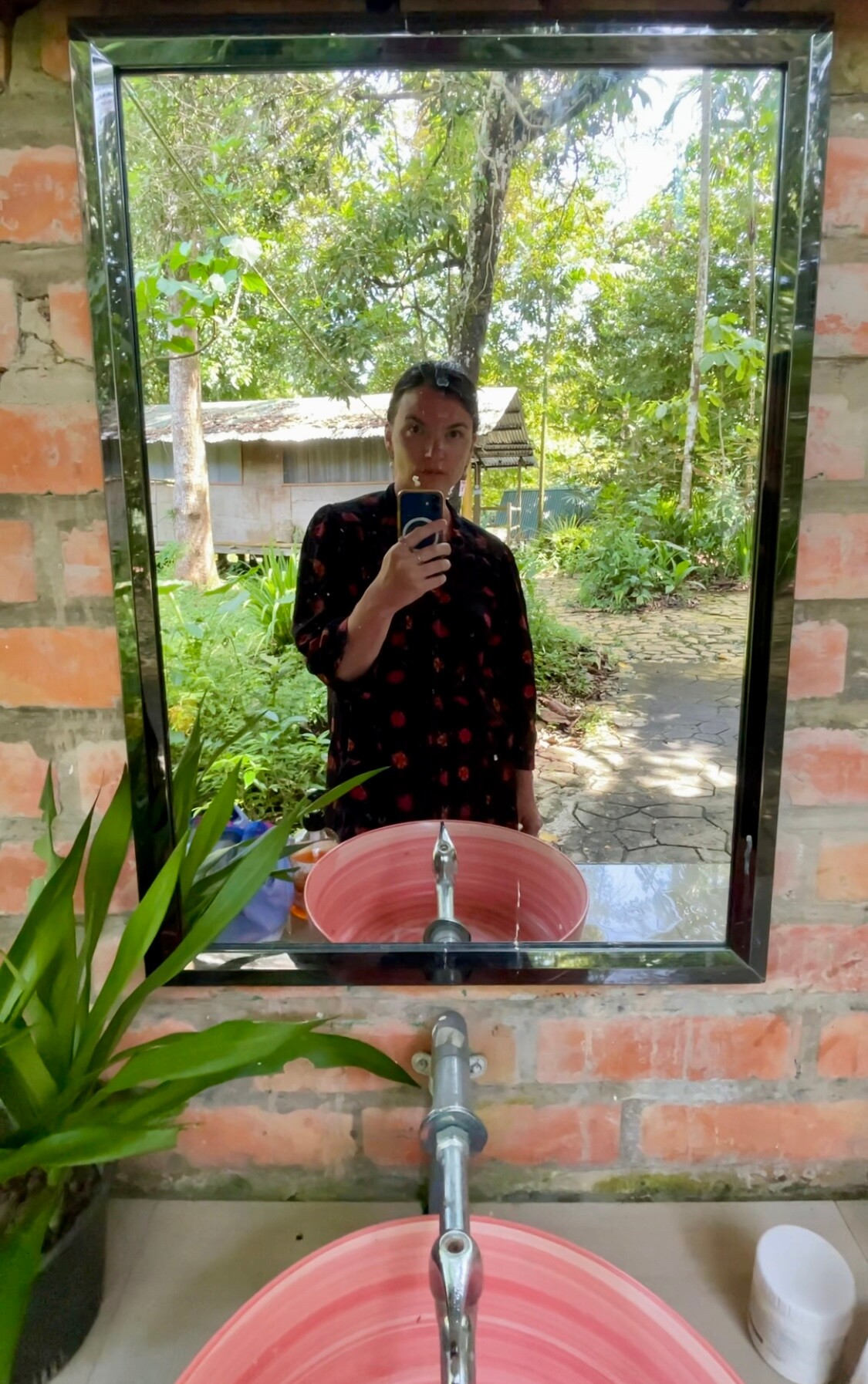 Brunei, lasy deszczowe Brunei, lasy deszczowe