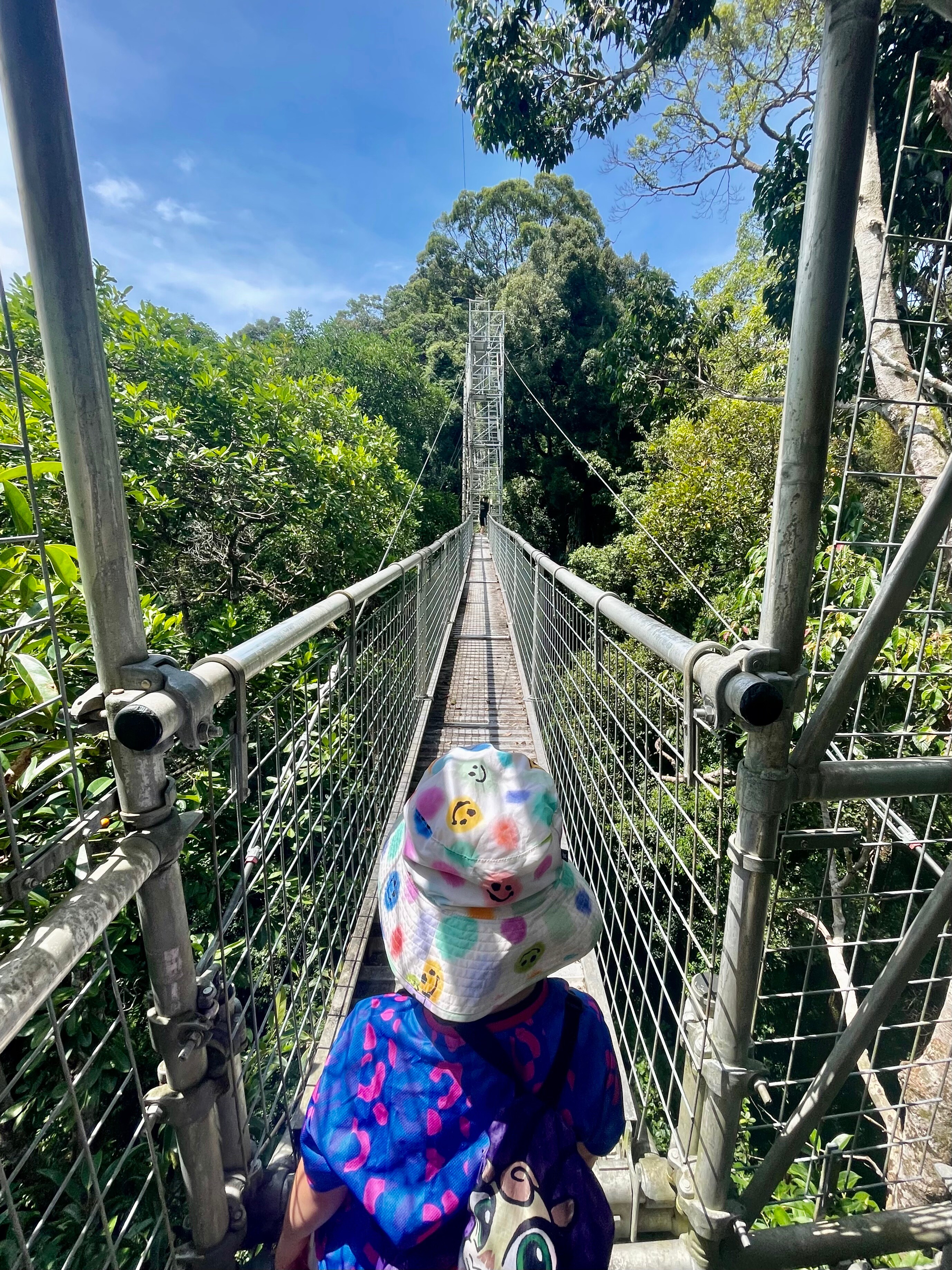 Brunei, Ulu Temburong National Park Brunei, Ulu Temburong National Park