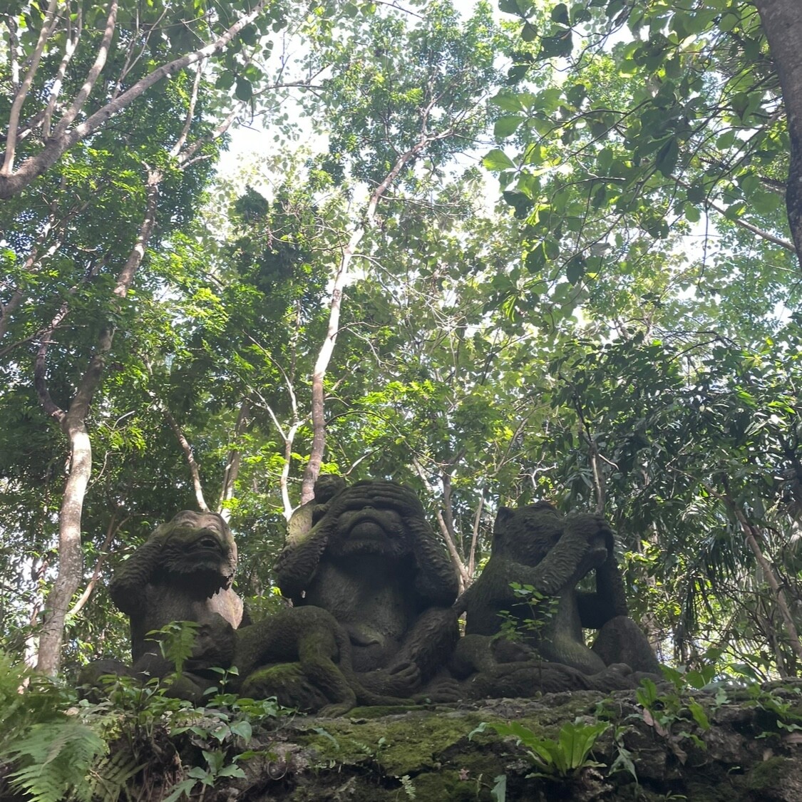 Bali, trzy małpy Bali, trzy małpy