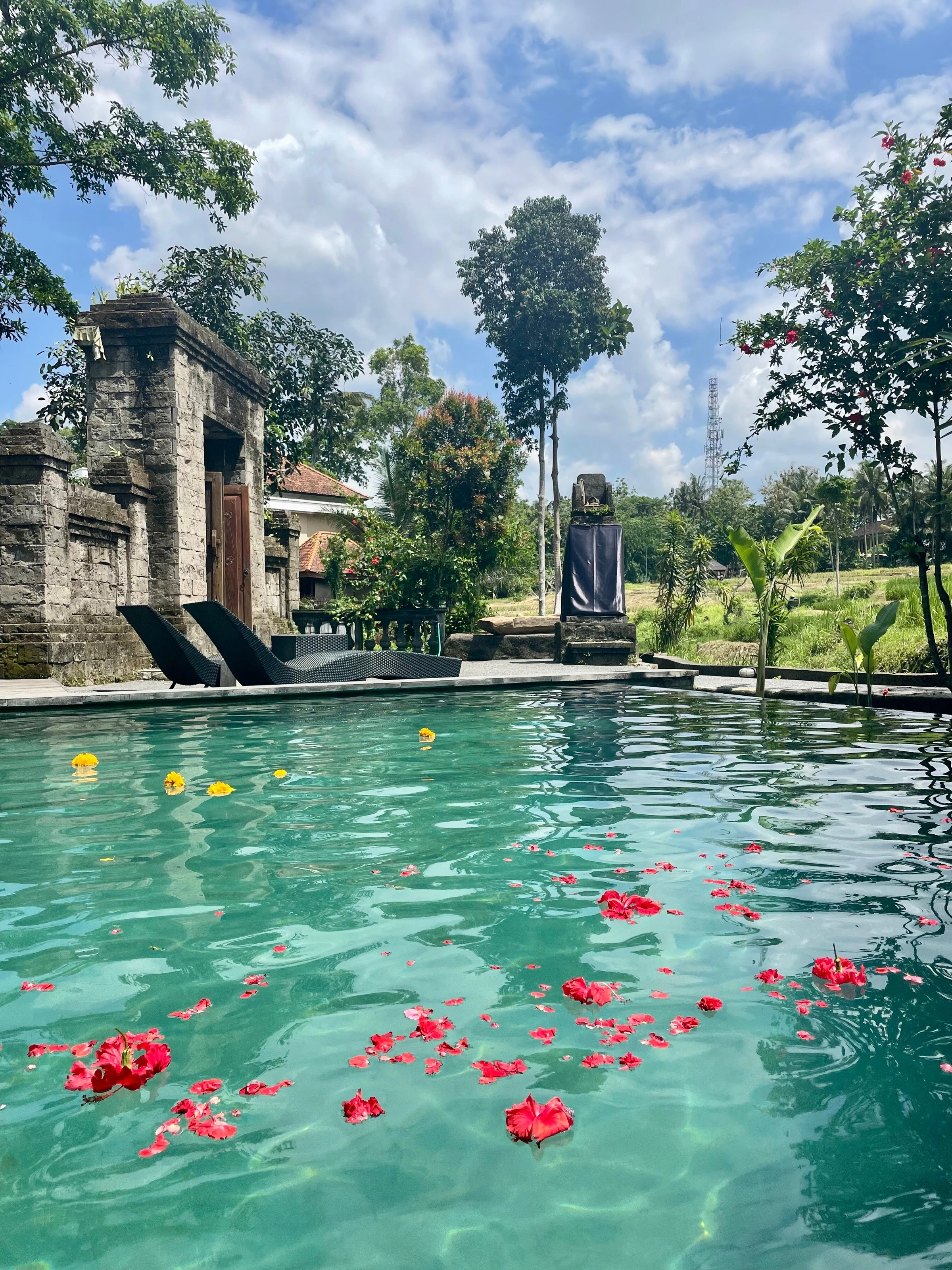 Bali, Ubud Bali, Ubud