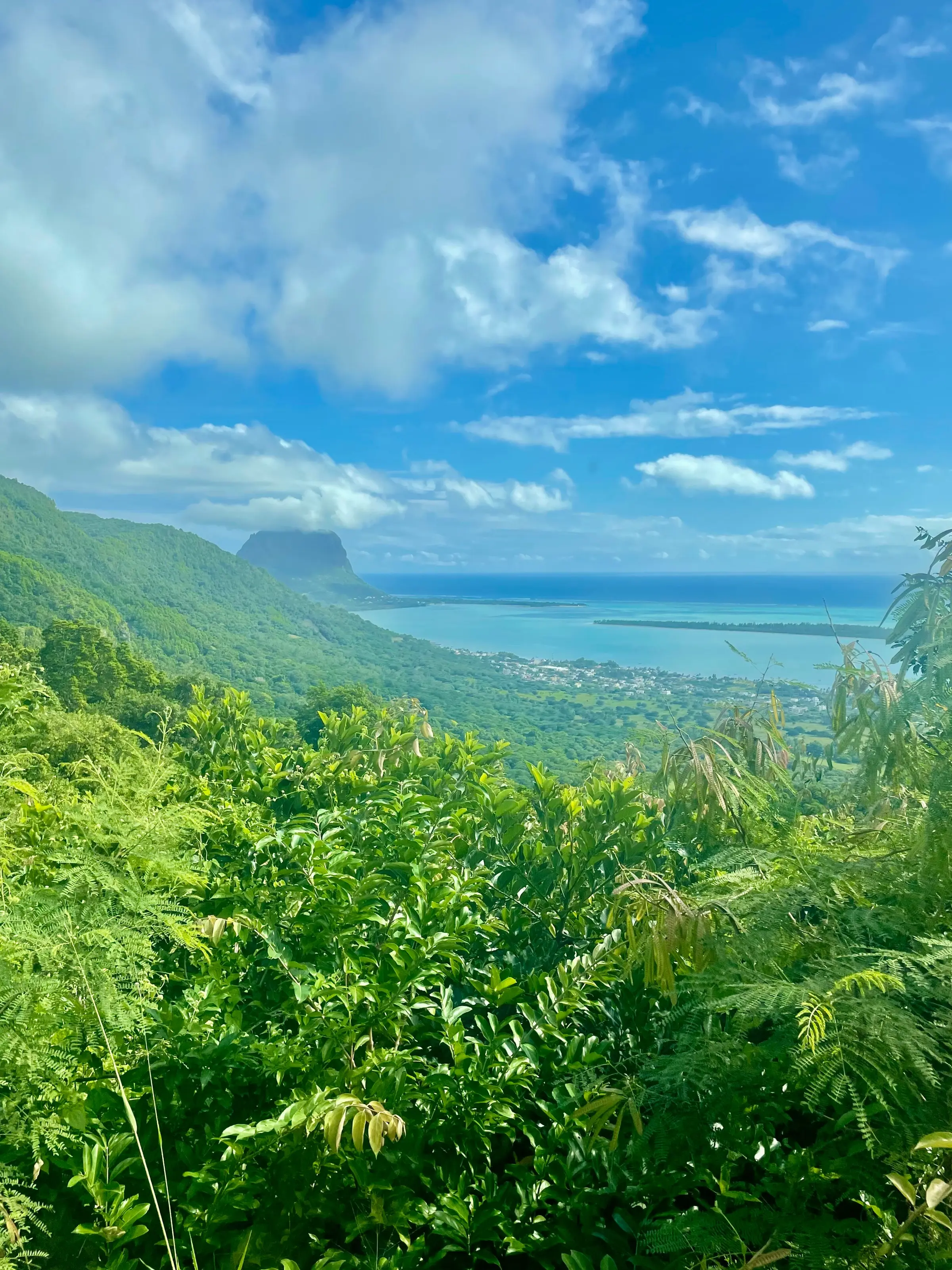 W oddali góra Le Marne wpisana na listę Unesco. Mauritius. W oddali góra Le Marne wpisana na listę Unesco. Mauritius.