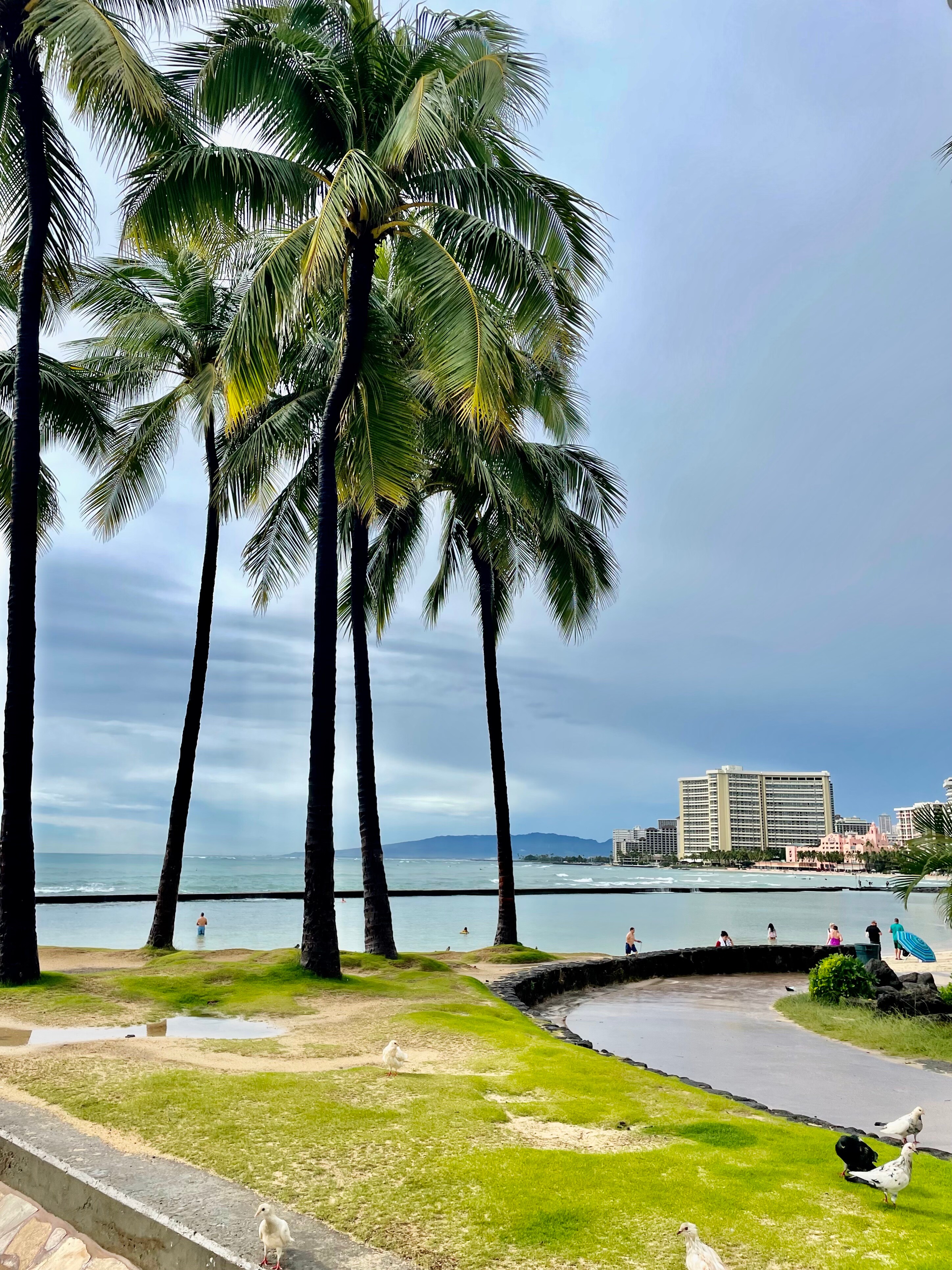Plaża w Honolulu. Hawaje. O'ahu. Plaża w Honolulu. Hawaje. O'ahu.