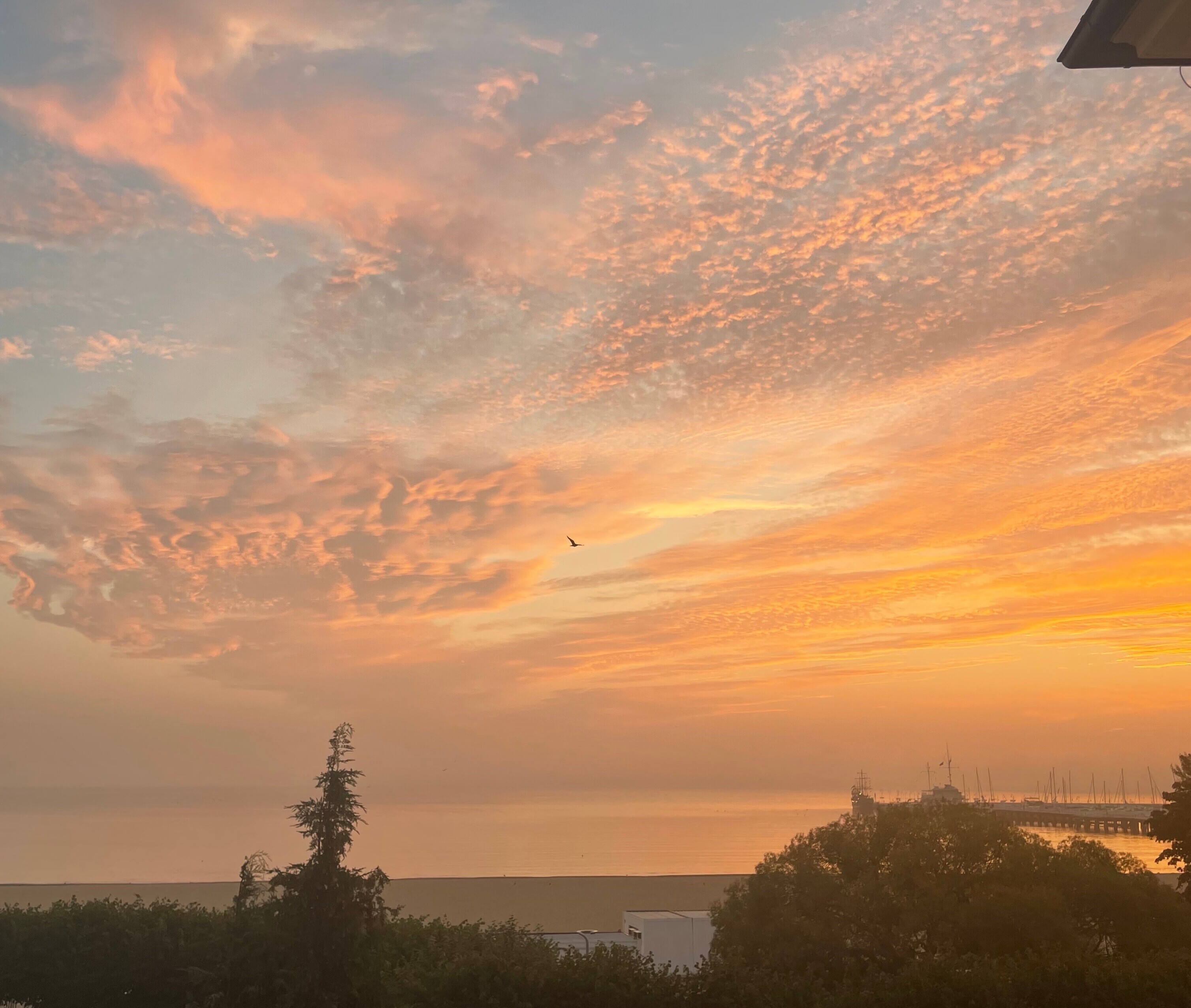 Wschód Słońca, Sopot, molo