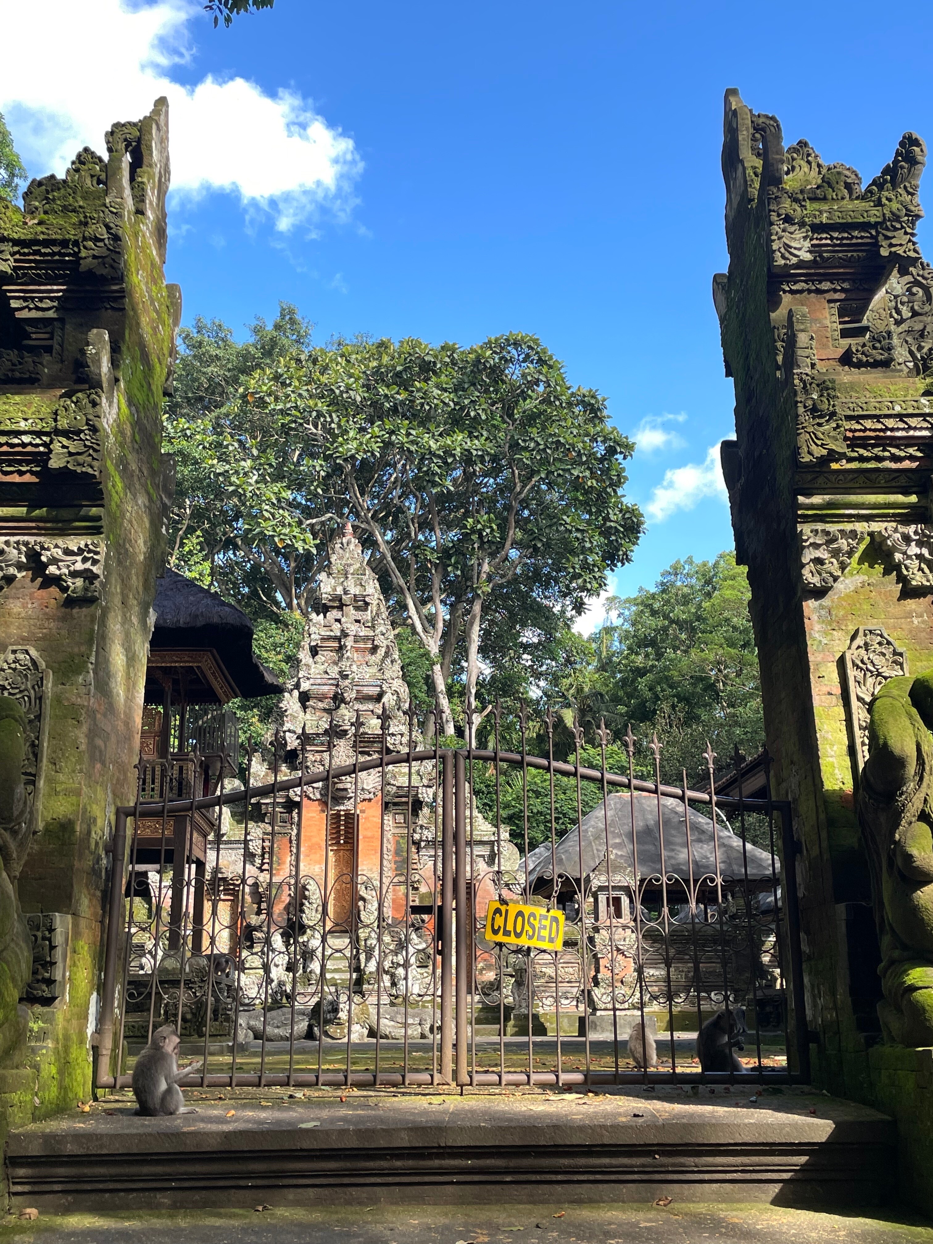 Monkey Forest, Bali